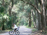 trail3.JPG