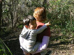 bigtree7.JPG