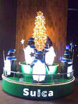 f4e7928a.jpg