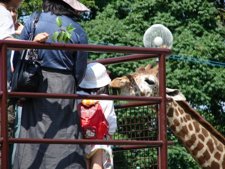 パンツ見えてる。