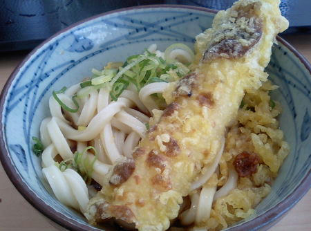 本日のうどん