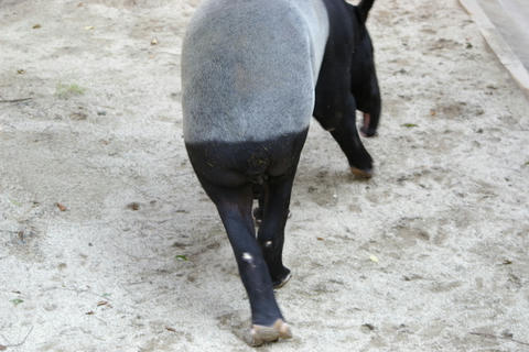 これはオシャレだ