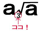 root2.jpg
