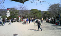 67f88001jpeg