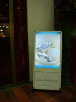 DSCN1787.JPG