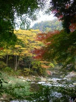 DSCN1933.JPG