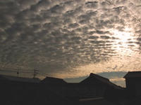 DSCF3123.JPG