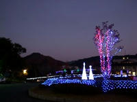 DSCF3310.JPG