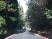 DSCF3337.JPG