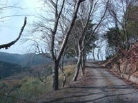 DSCF3338.JPG