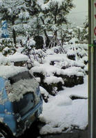 200901010901000.jpg