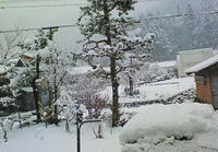 200901010902000.jpg