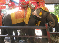 thai08.jpg
