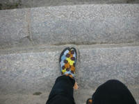 DSCN1102.JPG