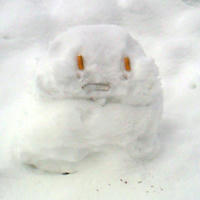 201001171234000.jpg