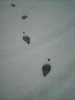 2010030916320001.jpg