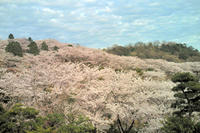 201004101726000.jpg