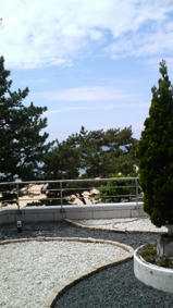 ws-1.jpg