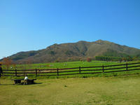 201005021626000.jpg