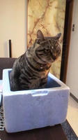 2012032320570000.jpg