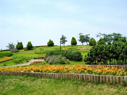 公園の花壇