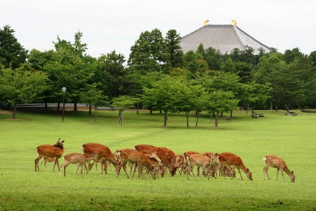 春日野園地