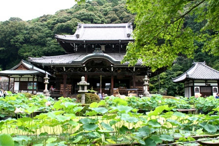三室戸寺の本堂