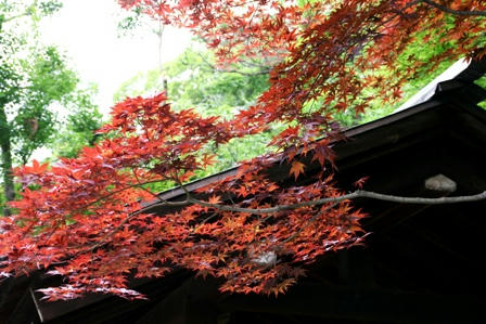 宗像神社