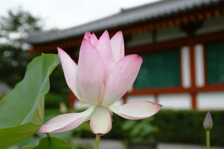 玄奘三蔵院