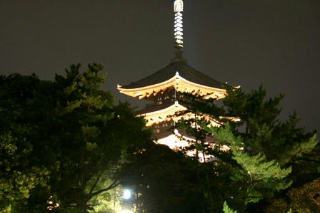 興福寺ライトアップ