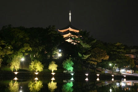 興福寺ライトアップ