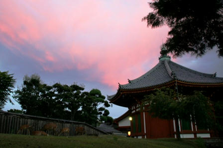 夕焼けピンク空の南円堂M