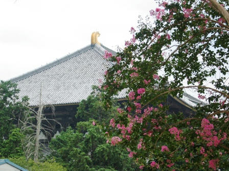 東大寺講堂跡付近からの大仏殿