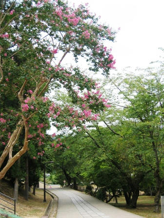 講堂跡付近から二月堂への道