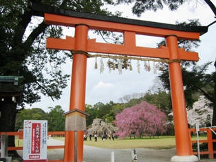 上賀茂神社の鳥居