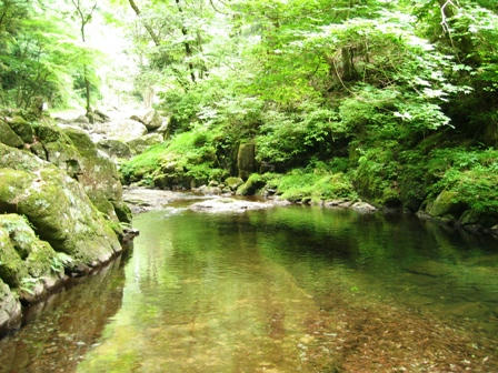 赤目四十八滝の清流