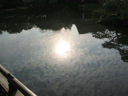 東神苑の池に映る夕日