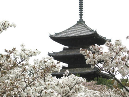 仁和寺の五重塔