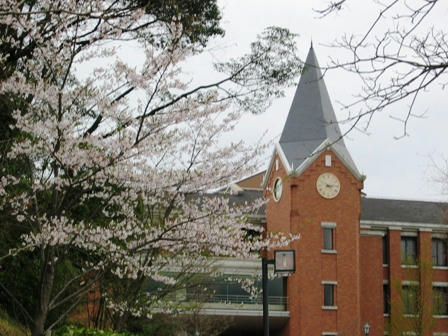 大学の校舎と桜
