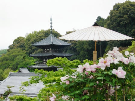 當麻寺西塔とぼたん