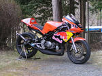 20090405_0001.jpg