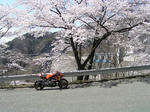 P4180003.jpg