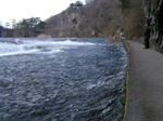 P4290050.jpg