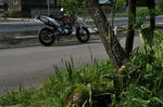 DSC_0081.JPG