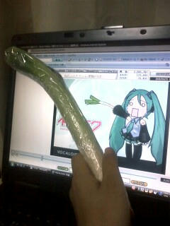 rogu59.jpg