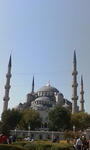 D1000323.jpg