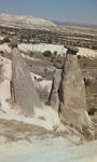 D1000328.jpg