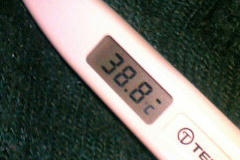 38,8℃ﾜｵ☆／(＾o＾)＼