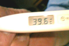 39,6℃☆＼(＾o＾)／