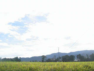 inaka.jpg